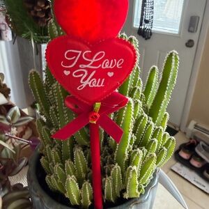 Heart I Love You LIGHT UP pen 🖊️ All accessories in my closet $8 or 3 for $20